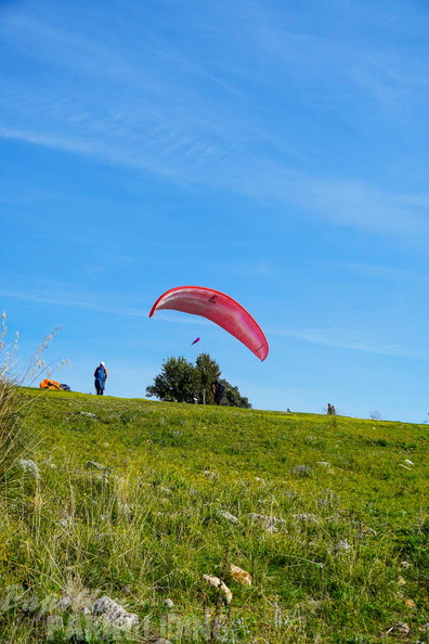 fno42.24-norma-italien-paragliding-158