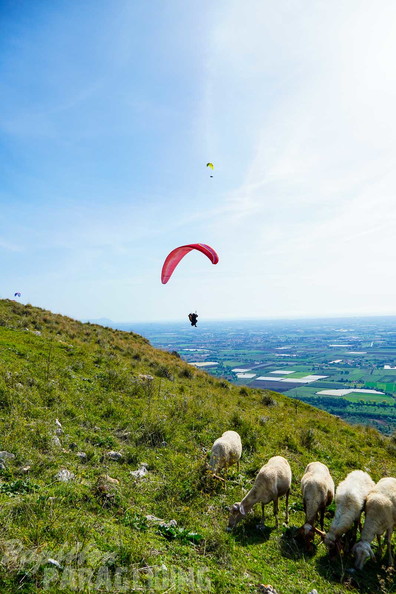 fno42.24-norma-italien-paragliding-168