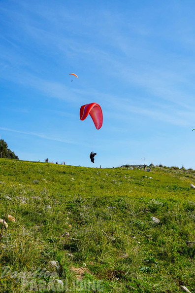 fno42.24-norma-italien-paragliding-163