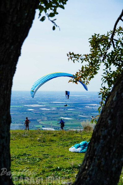 fno42.24-norma-italien-paragliding-185