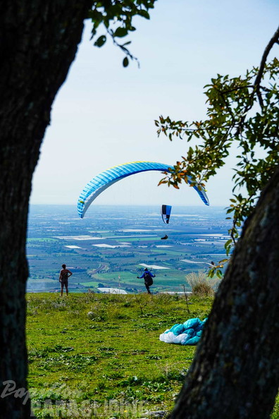 fno42.24-norma-italien-paragliding-184