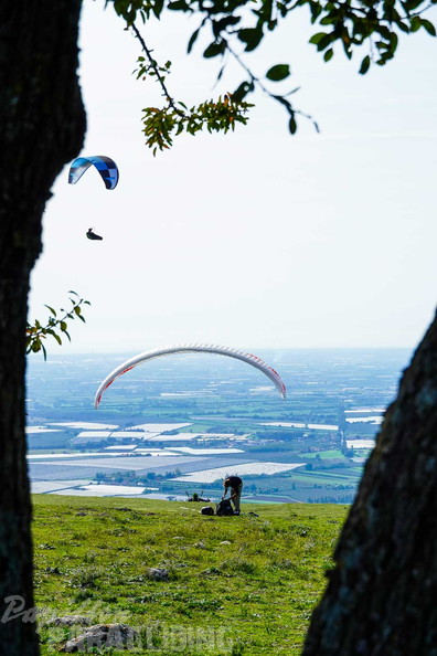 fno42.24-norma-italien-paragliding-186