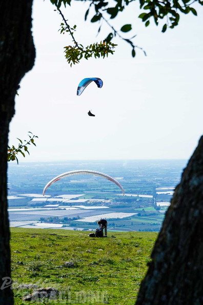 fno42.24-norma-italien-paragliding-187