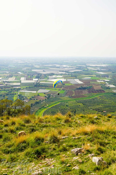 fno42.24-norma-italien-paragliding-329
