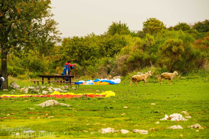 fno42.24-norma-italien-paragliding-428