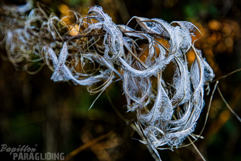 wasserkuppe-24-11-09-100