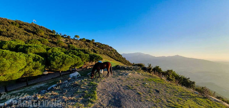 FA45.24-Algodonales-Paragliding-171