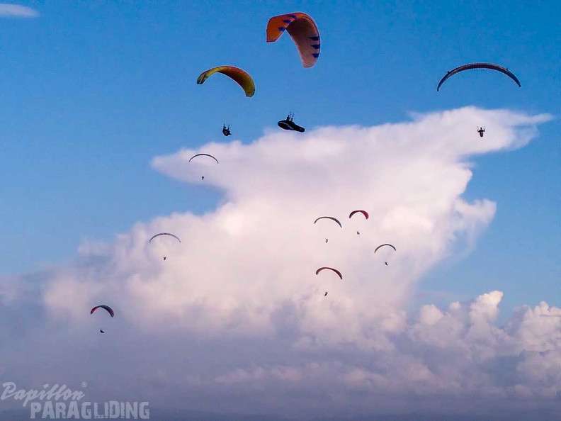 FA44.24-Algodonales-Paragliding-101