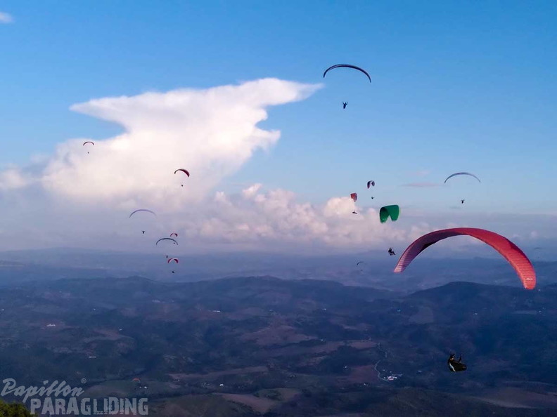 FA44.24-Algodonales-Paragliding-103