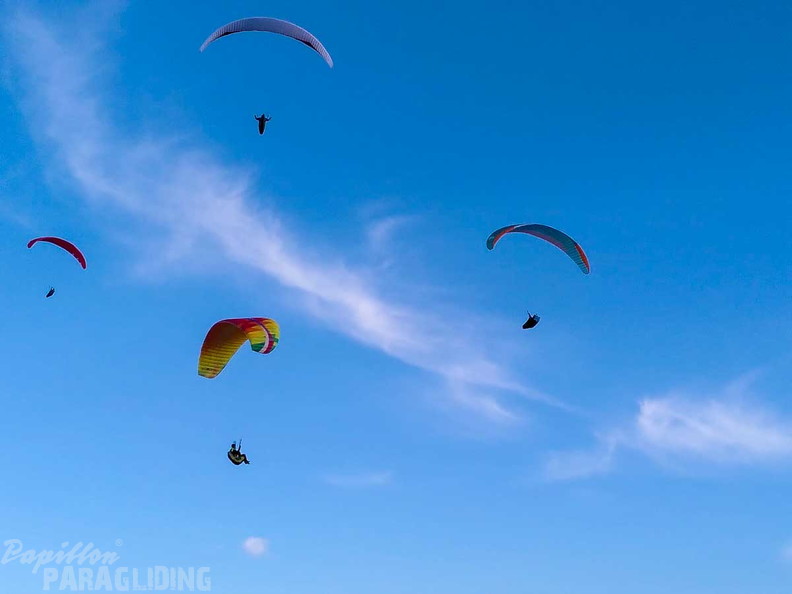 FA44.24-Algodonales-Paragliding-106