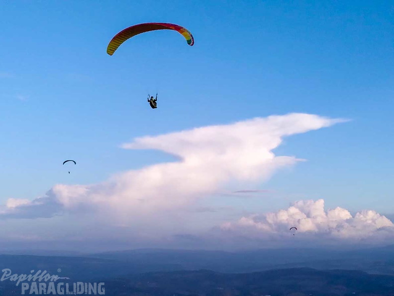 FA44.24-Algodonales-Paragliding-107
