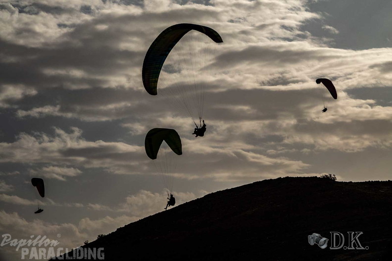 FLA47.24-(c)-Dirk-Kunesch-270