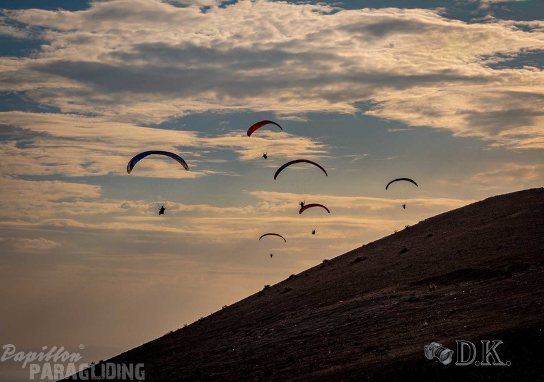 FLA47.24-(c)-Dirk-Kunesch-291