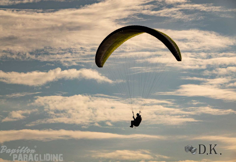 FLA47.24-(c)-Dirk-Kunesch-300