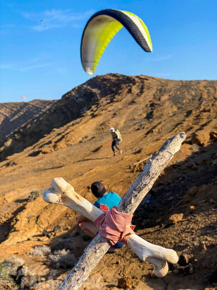 FLA48.24-Lanzarote-Paragliding-111