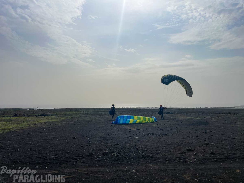 fla51.24-lanzarote-papillon-106