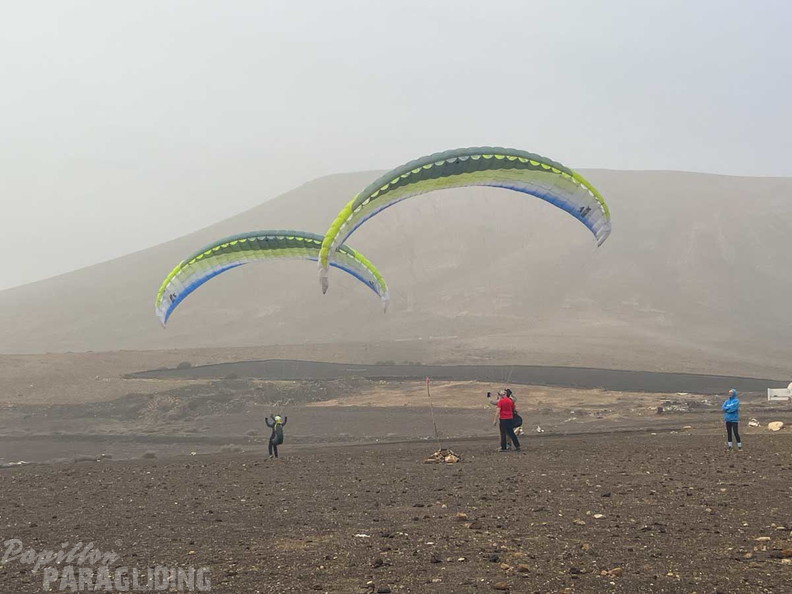 fla51.24-lanzarote-papillon-107