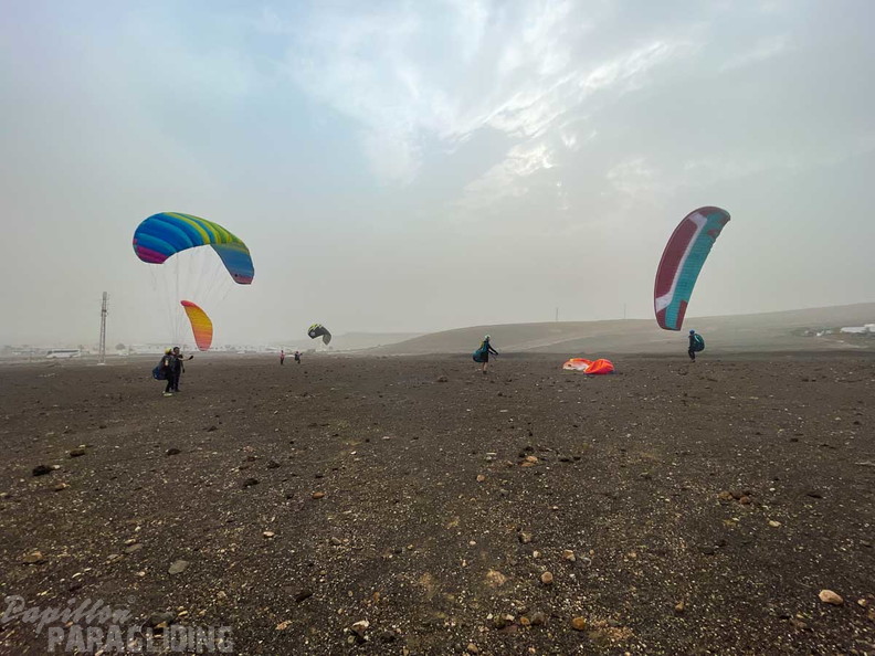 fla51.24-lanzarote-papillon-109