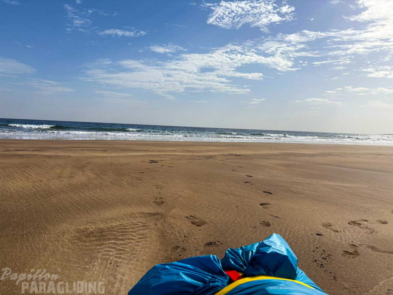 fla51.24-lanzarote-papillon-119
