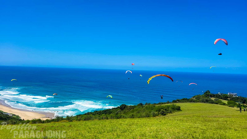 fn7.25-suedafrika-paragliding-papillon-158