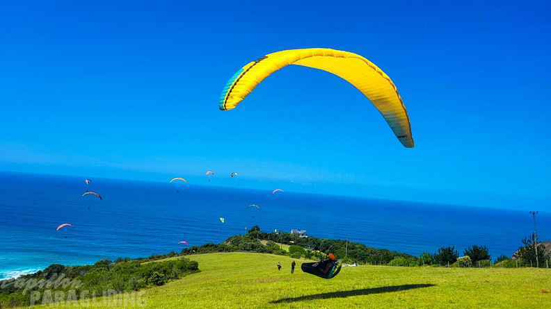 fn7.25-suedafrika-paragliding-papillon-160