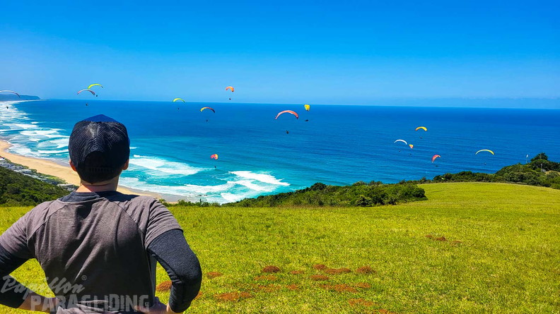 fn7.25-suedafrika-paragliding-papillon-163