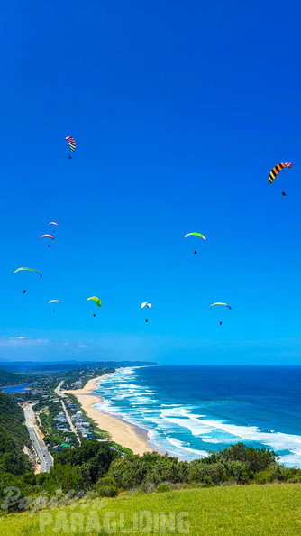 fn7.25-suedafrika-paragliding-papillon-170
