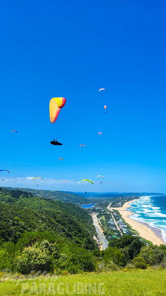 fn7.25-suedafrika-paragliding-papillon-171