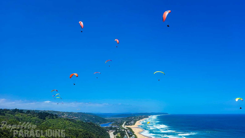 fn7.25-suedafrika-paragliding-papillon-179