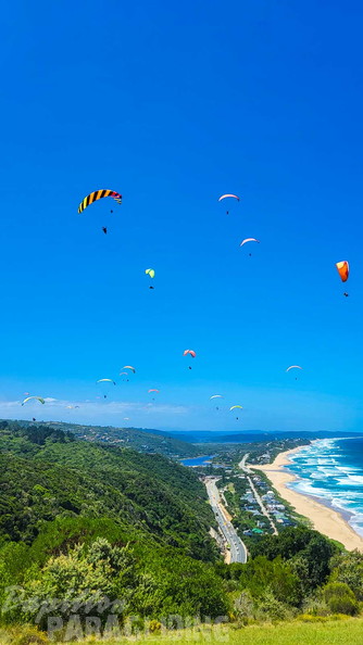 fn7.25-suedafrika-paragliding-papillon-181