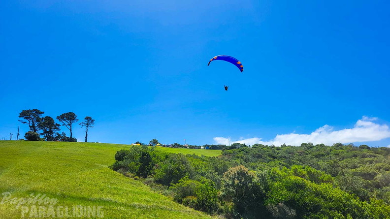 fn7.25-suedafrika-paragliding-papillon-182