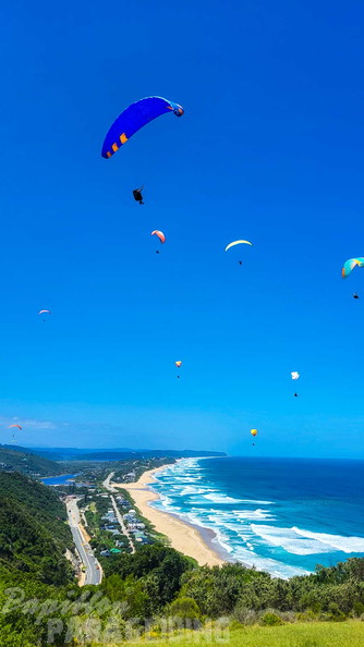 fn7.25-suedafrika-paragliding-papillon-183