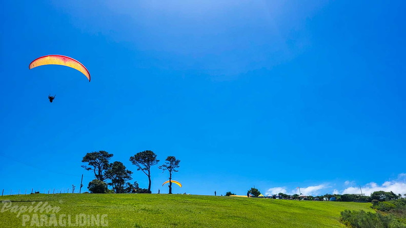 fn7.25-suedafrika-paragliding-papillon-184