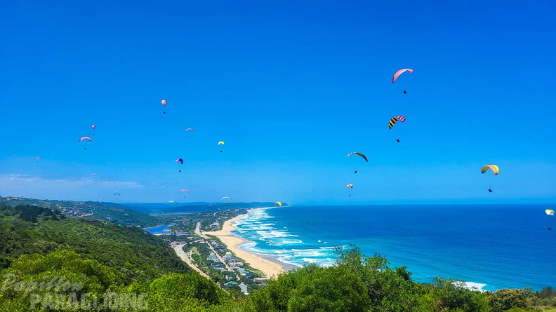 fn7.25-suedafrika-paragliding-papillon-185