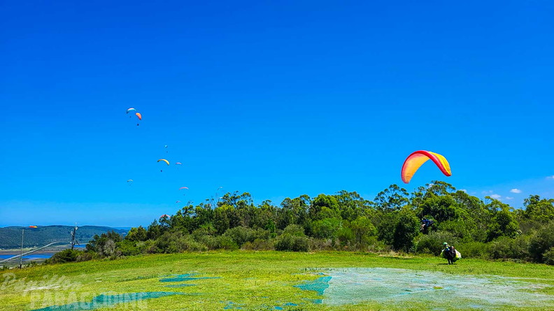 fn7.25-suedafrika-paragliding-papillon-214
