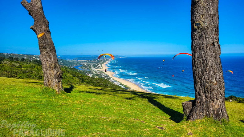 fn7.25-suedafrika-paragliding-papillon-219