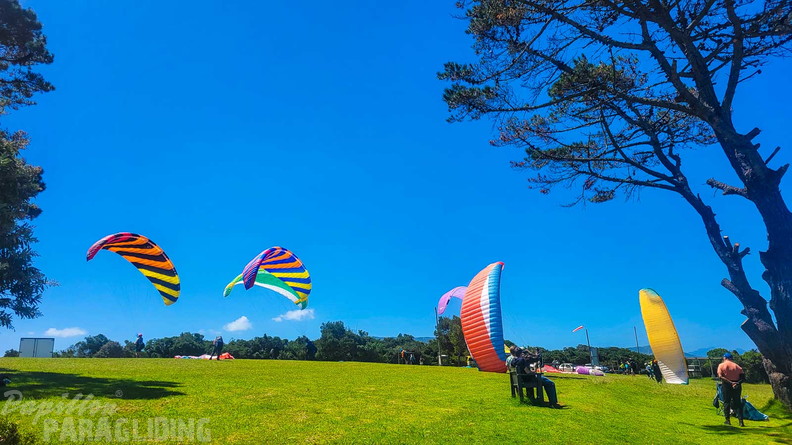 fn7.25-suedafrika-paragliding-papillon-319