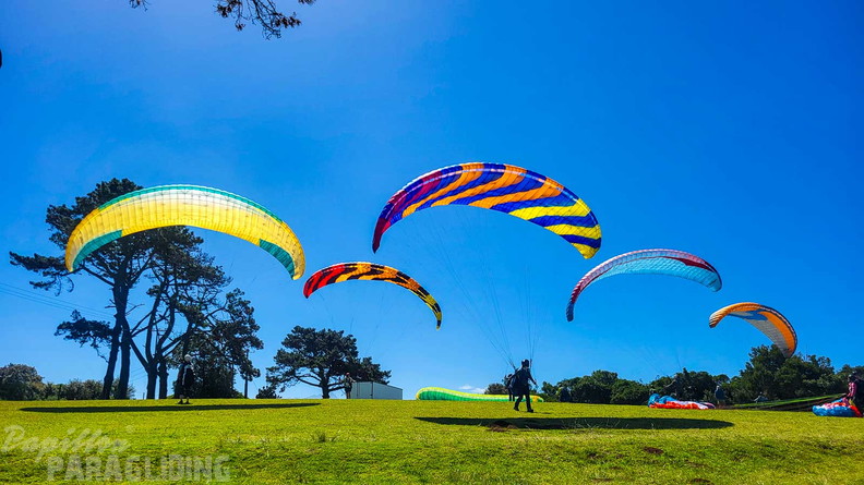 fn7.25-suedafrika-paragliding-papillon-323