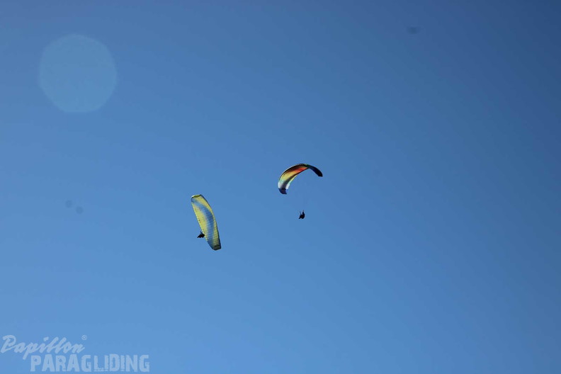 dt10.25-tim-360