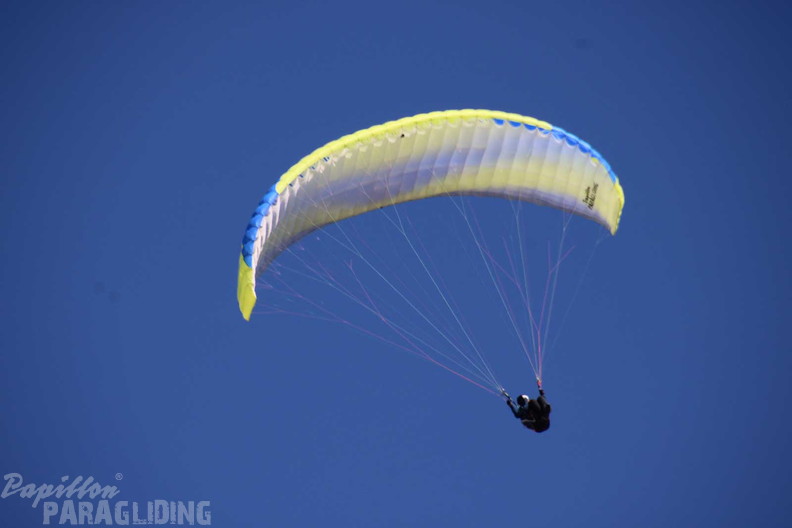 dt10.25-tim-400