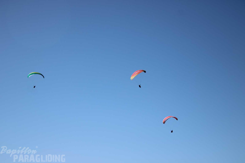 dt10.25-tim-433.jpg