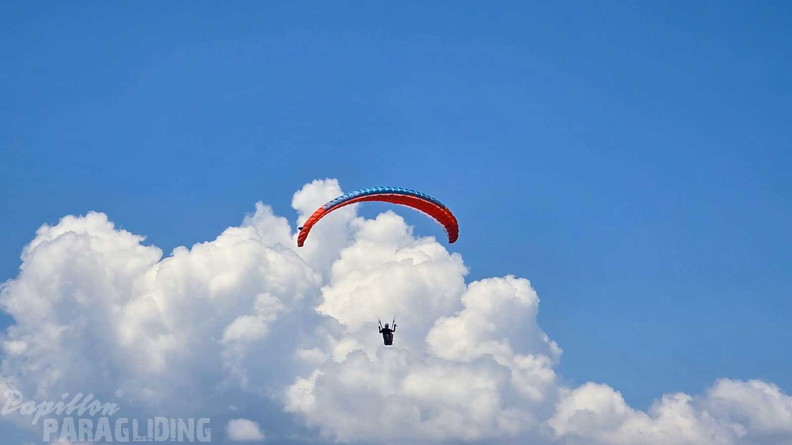 fmf27.25-meduno-papillon-gleitschirmfliegen-105
