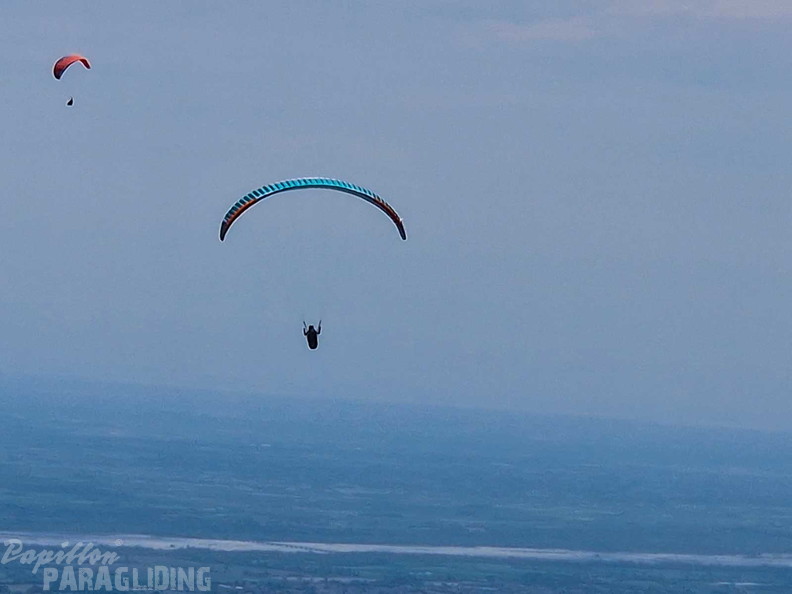 fmf27.25-meduno-papillon-gleitschirmfliegen-120
