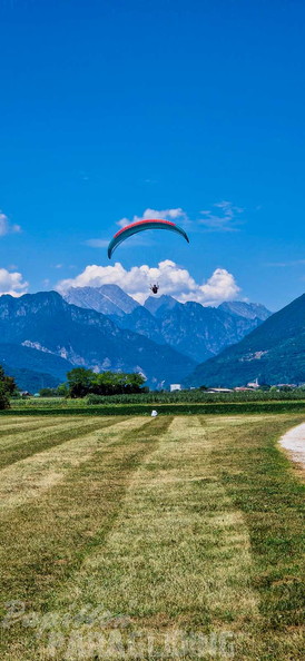 fmf27.25-meduno-papillon-gleitschirmfliegen-125