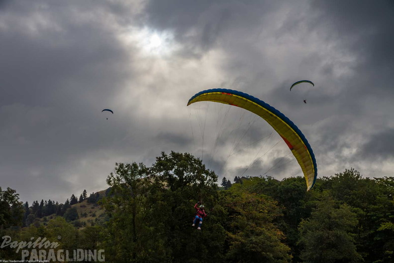 pga german-open-25 25-08-23-am 1600-172