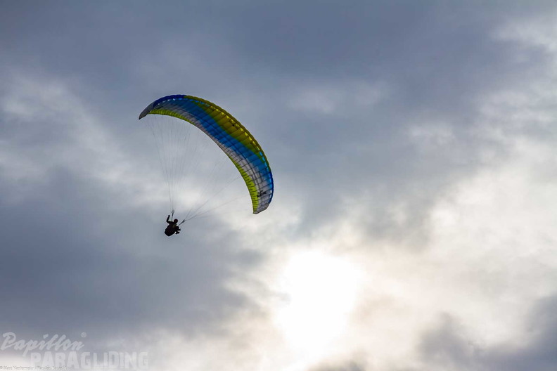 pga german-open-25 25-08-23-am 1600-160