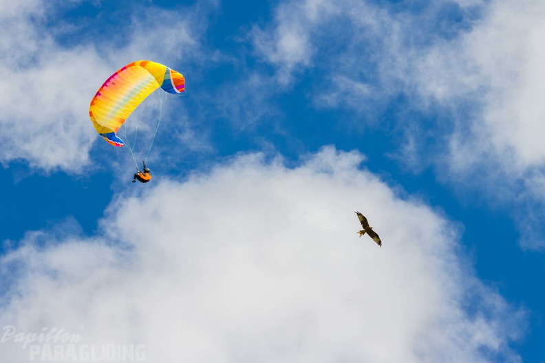 pgawc-finals-25-08-29-am-182