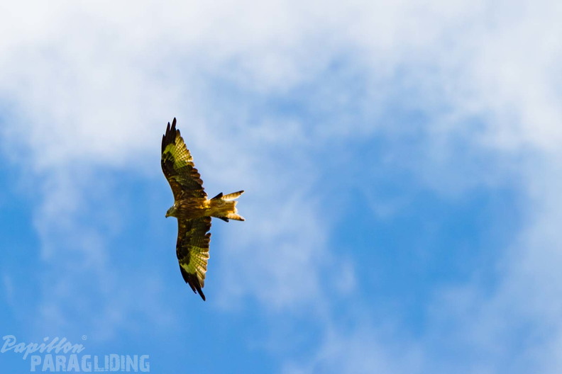 pgawc-finals-25-08-29-am-186