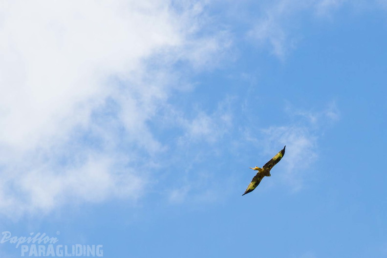 pgawc-finals-25-08-29-am-296