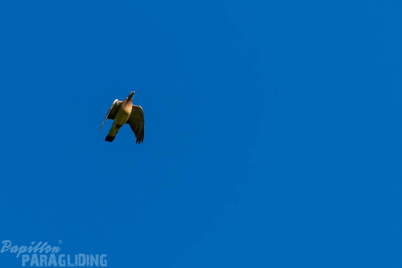 pgawc-finals-25-08-29-pm-158